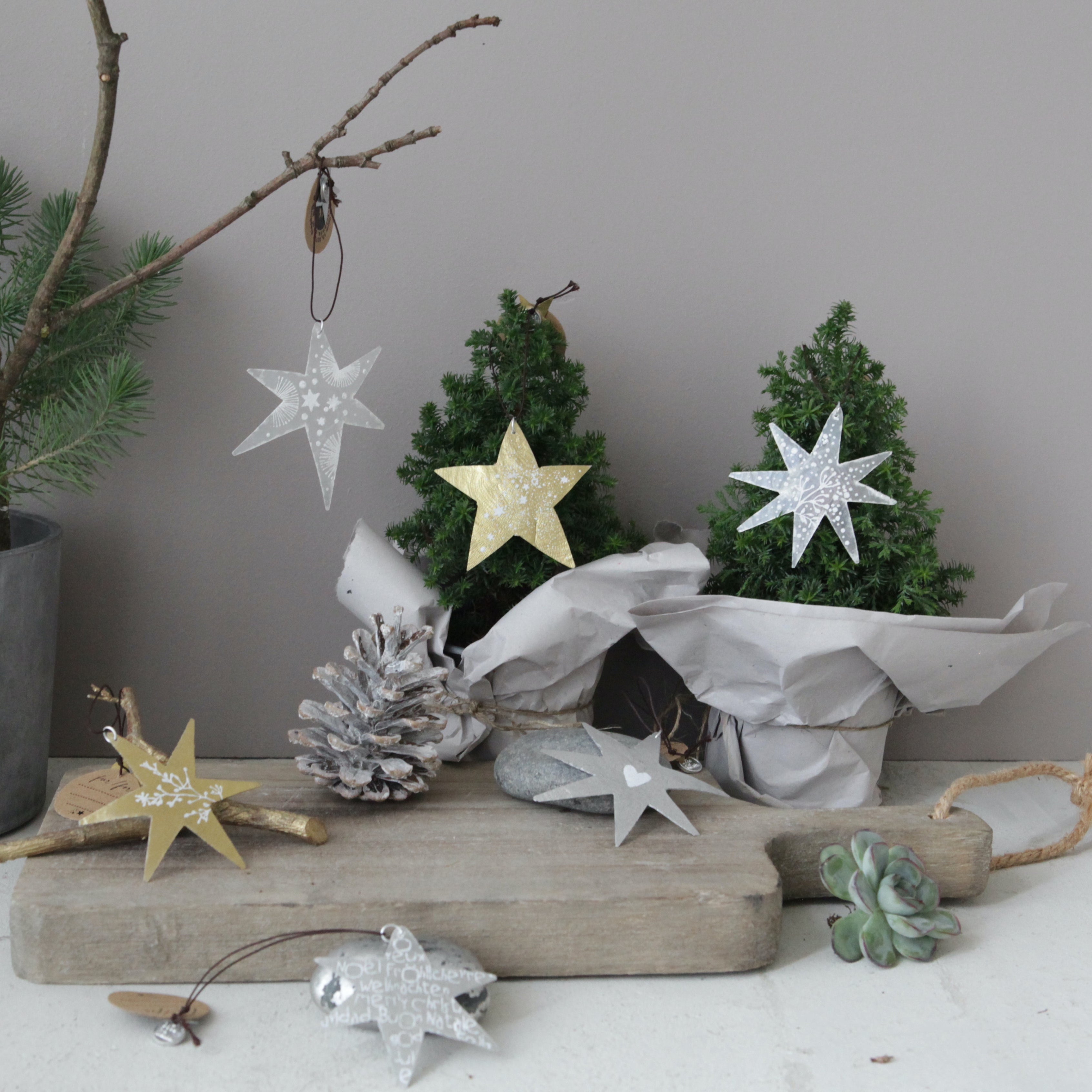 Good old friends Capizstern