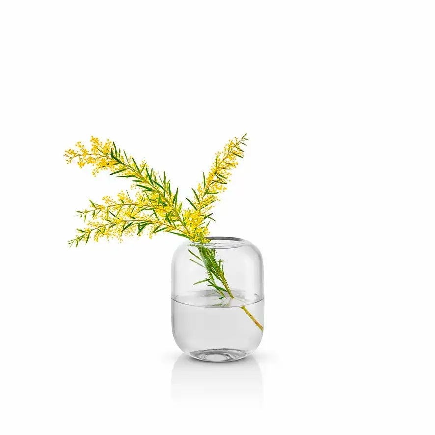 Eva Solo Acorn Vase clear H 16,5 cm - Teeliesel  Default Title