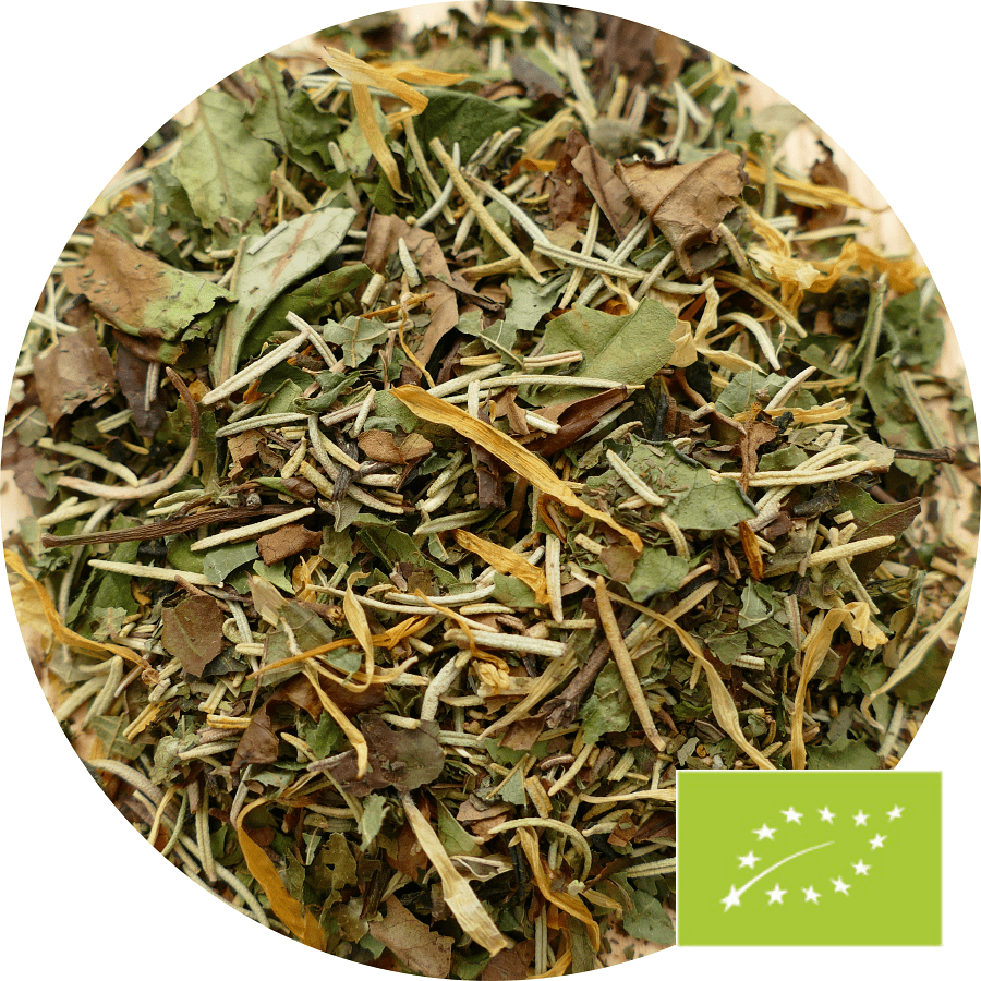 No. 509 Zitrone-Rosmarin Bio DE-ÖKO-003 - Teeliesel Default Title