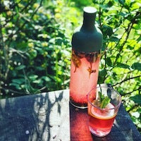 Hario Cold Brew Bottle rot 750 ml - Teeliesel Default Title