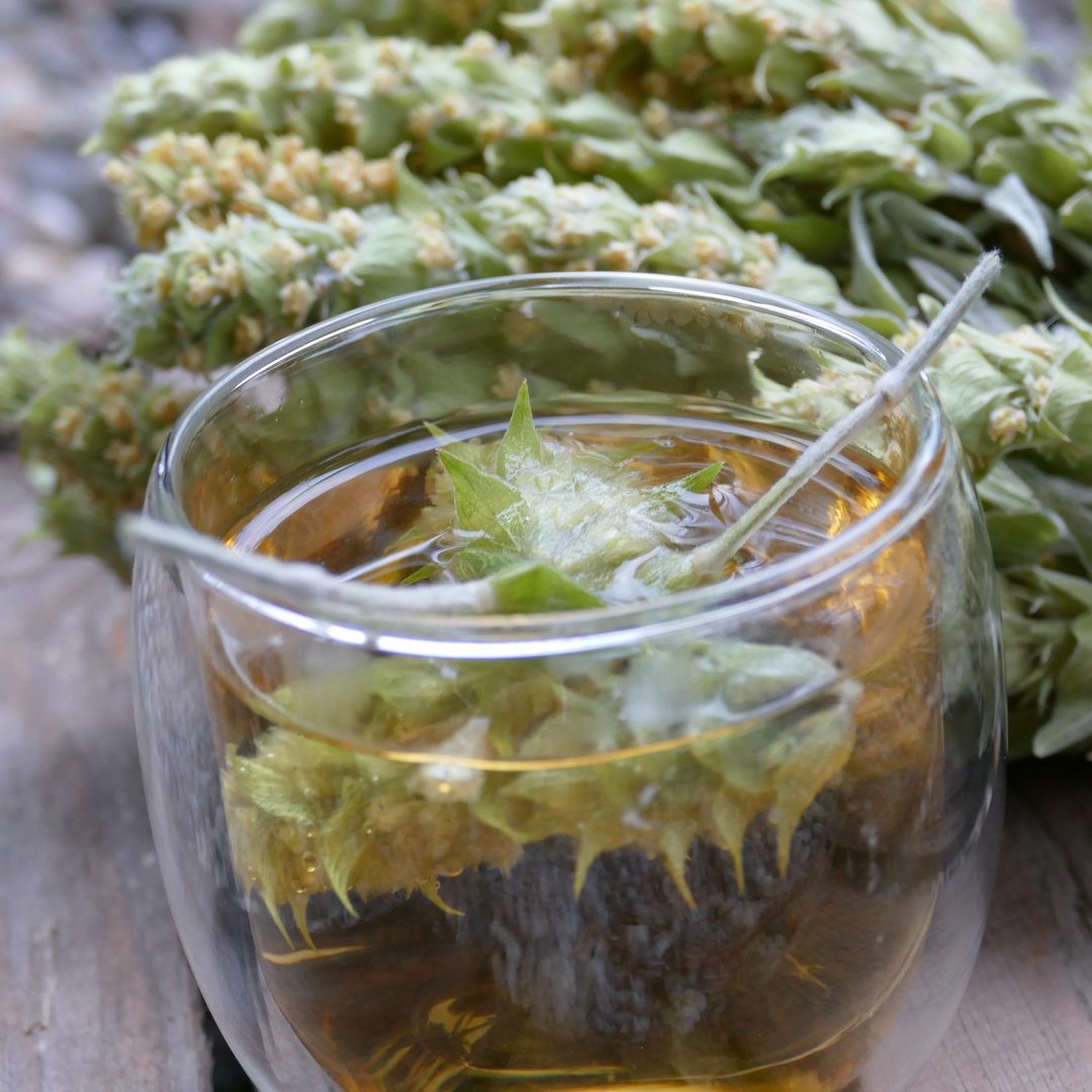 Griechischer Bergtee Bio Gebinde 40g GR-Bio-17 - Teeliesel Default Title