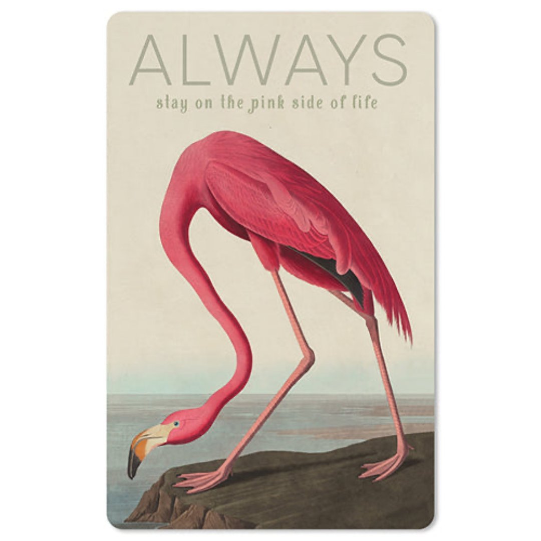 Lunacard Mini Postkarte Flamingo - Teeliesel  Default Title
