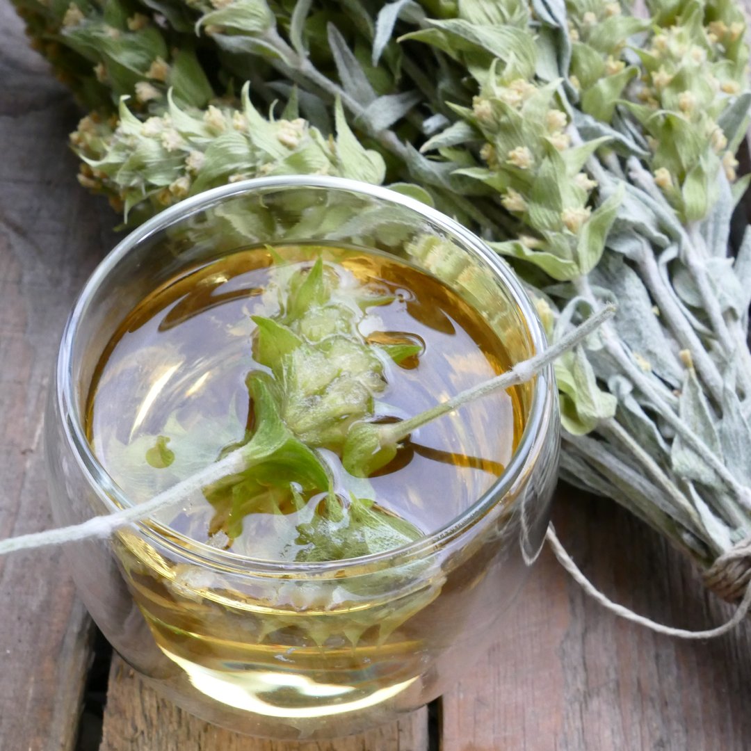 Griechischer Bergtee Bio Gebinde 40g GR-Bio-17 - Teeliesel Default Title