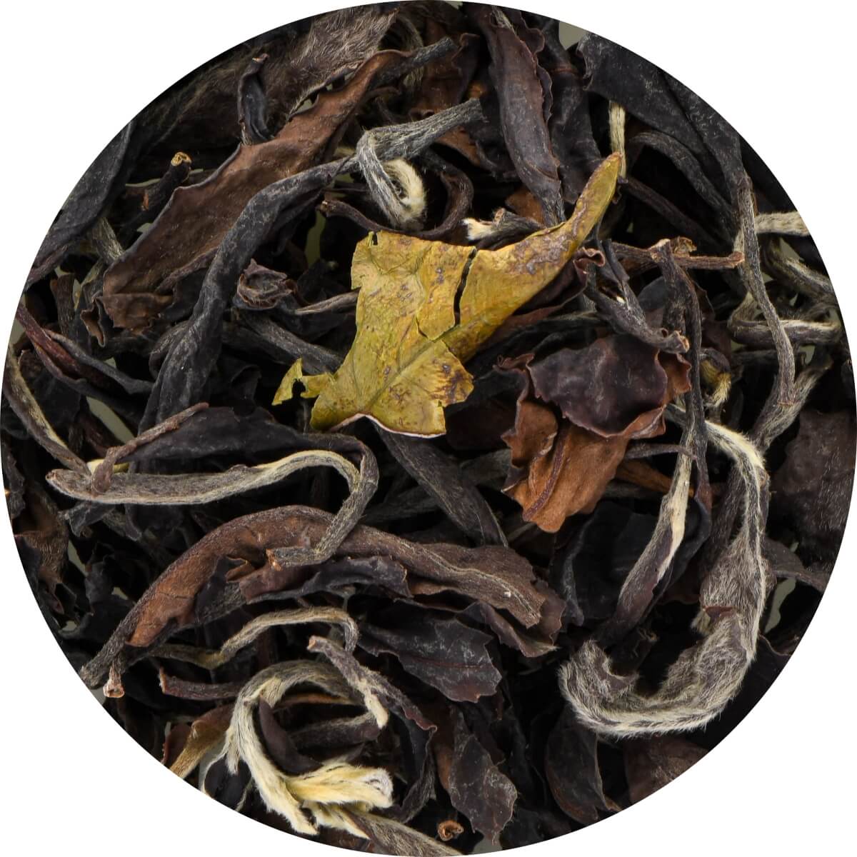 No. 313 Kolumbien Amber Oolong (Bio) DE-ÖKO-003