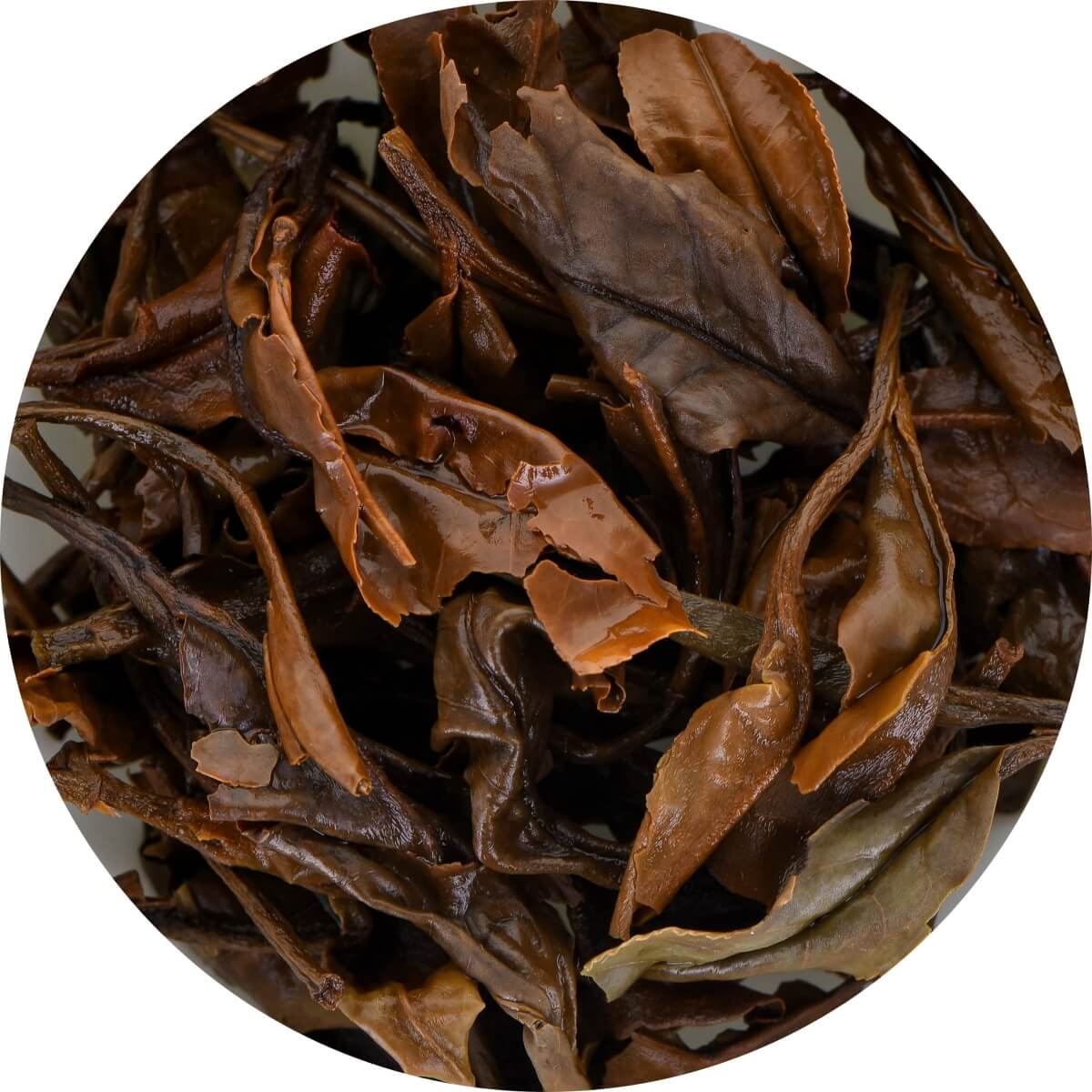 No. 313 Kolumbien Amber Oolong (Bio) DE-ÖKO-003