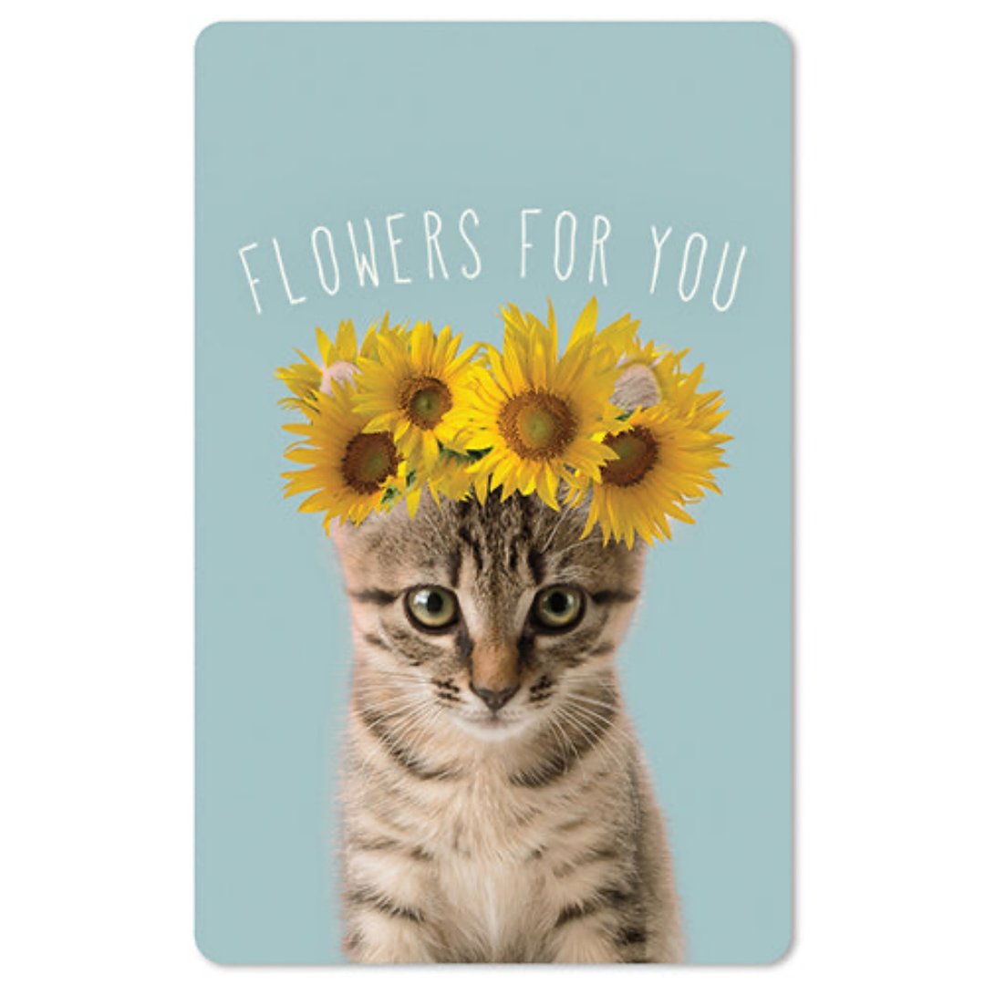 Lunacard Mini Postkarte Sunflower cat