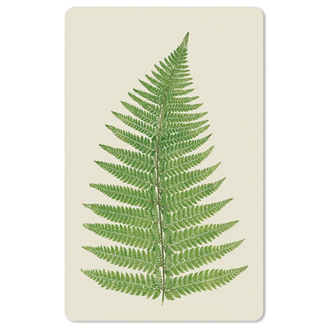 Lunacard Mini Postkarte Farn